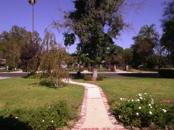 Enlarge photo 22