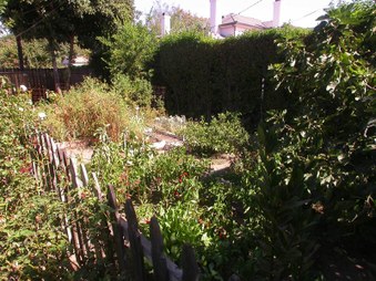 Enlarge photo 46