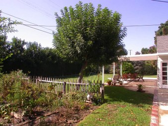Enlarge photo 45
