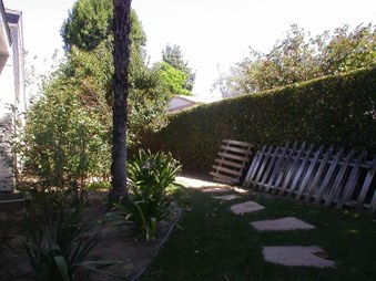 Enlarge photo 50