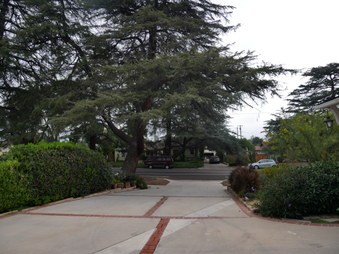 Enlarge photo 33