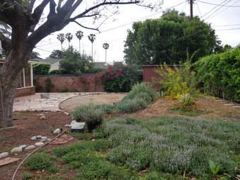 Enlarge photo 26