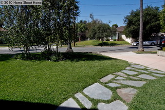 Enlarge photo 5