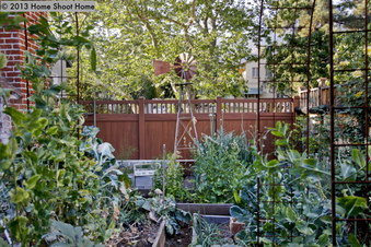 Enlarge photo 59