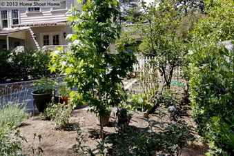 Enlarge photo 38