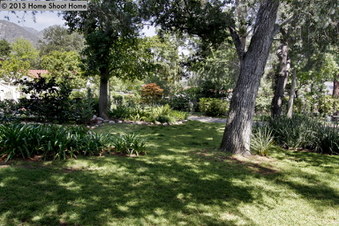 Enlarge photo 39