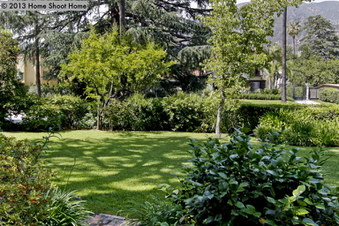 Enlarge photo 52