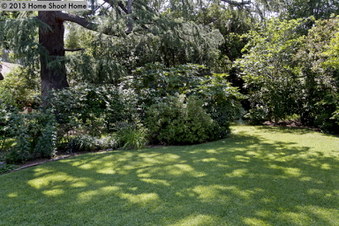 Enlarge photo 54