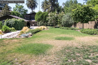 Enlarge photo 39