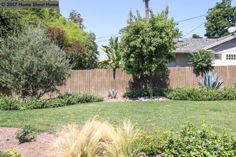 Enlarge photo 38