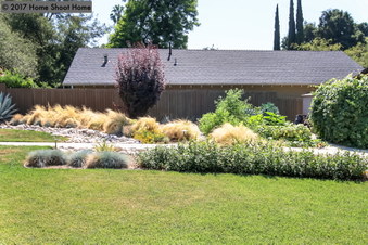 Enlarge photo 41