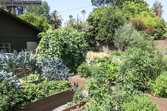 Enlarge photo 43