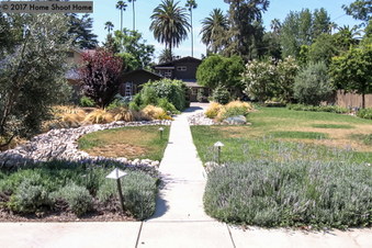 Enlarge photo 45