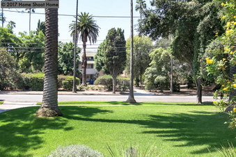 Enlarge photo 66