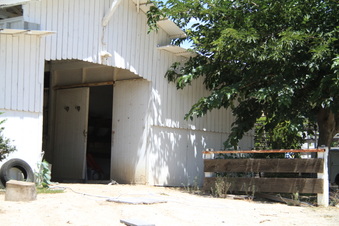 Enlarge photo 36