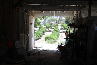 Enlarge photo 44