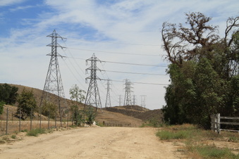 Enlarge photo 47