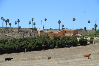 Enlarge photo 53
