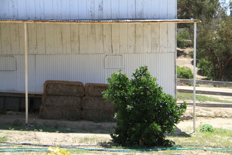 Enlarge photo 56