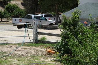 Enlarge photo 57