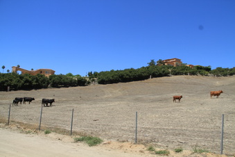 Enlarge photo 65