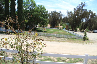 Enlarge photo 66