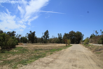 Enlarge photo 70