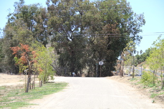 Enlarge photo 71