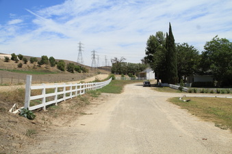 Enlarge photo 73
