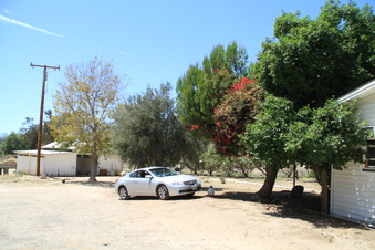 Enlarge photo 78