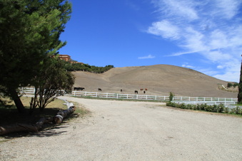 Enlarge photo 82