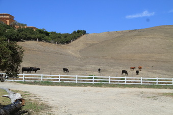 Enlarge photo 83