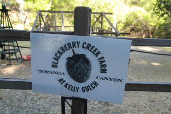 Blackberry Creek Farm at Kelly Gulch
