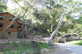 Enlarge photo 12
