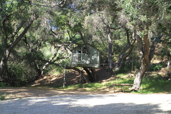 Enlarge photo 14