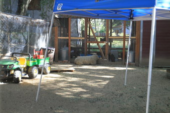Enlarge photo 16