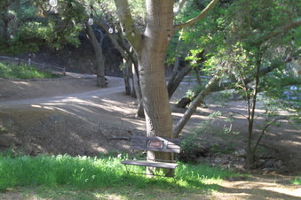 Enlarge photo 29