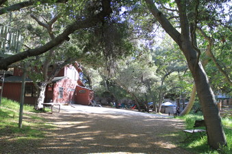 Enlarge photo 34
