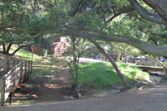 Enlarge photo 36