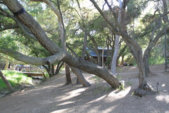 Enlarge photo 37