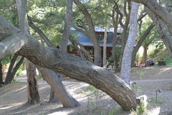 Enlarge photo 38