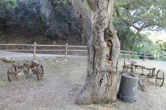 Enlarge photo 40