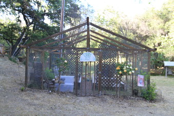 Enlarge photo 41