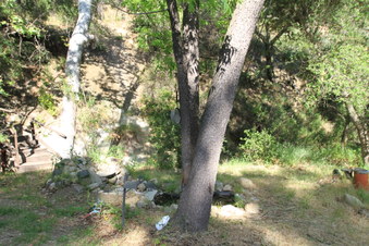 Enlarge photo 43