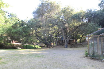Enlarge photo 45
