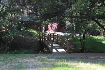 Enlarge photo 47