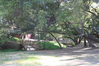 Enlarge photo 48