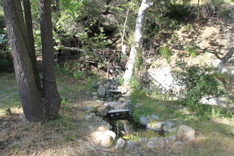 Enlarge photo 49