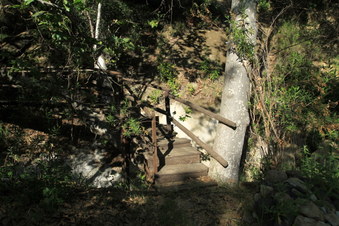 Enlarge photo 51