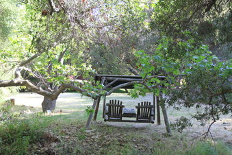 Enlarge photo 53